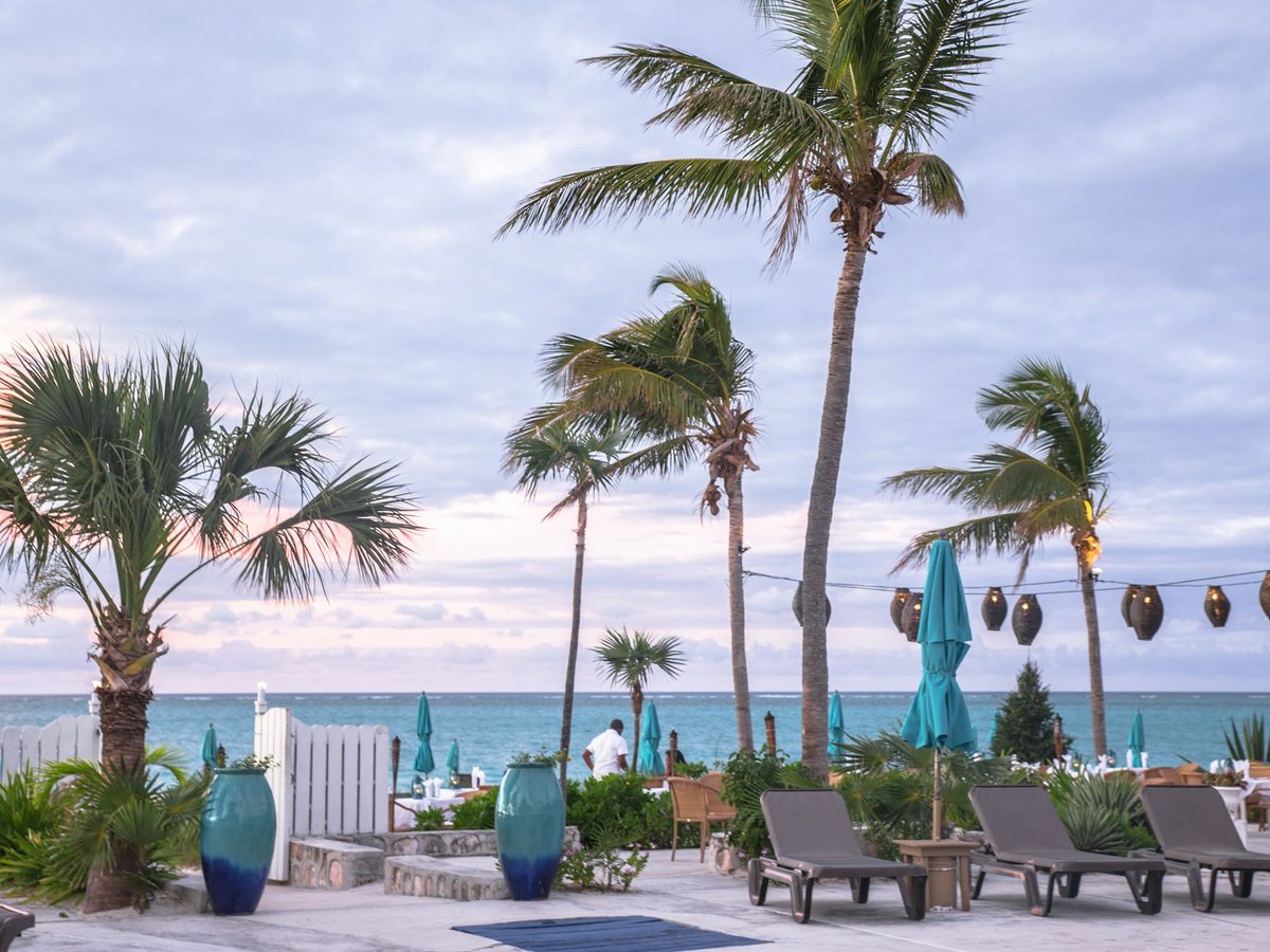 Palm-lined beachfront resort terrace with loungers at dusk